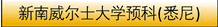 W(xu)A(y)ƣϤᣩ