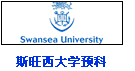 斯旺西大學(xué)預(yù)科