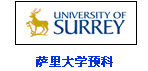 薩里大學(xué)預(yù)科